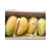 sindhri mango