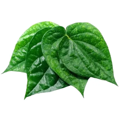 Betal.Leaves